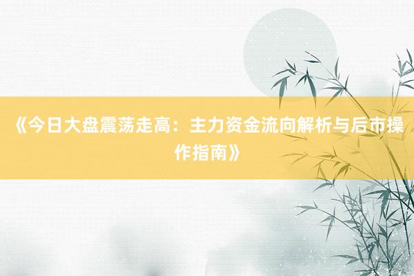《今日大盘震荡走高：主力资金流向解析与后市操作指南》