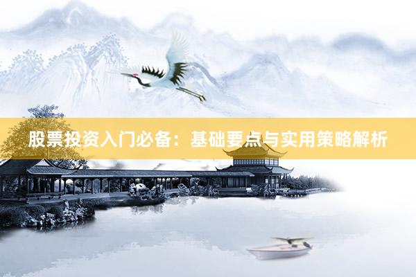 股票投资入门必备：基础要点与实用策略解析