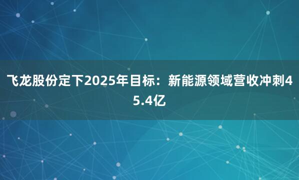 飞龙股份定下2025年目标：新能源领域营收冲刺45.4亿