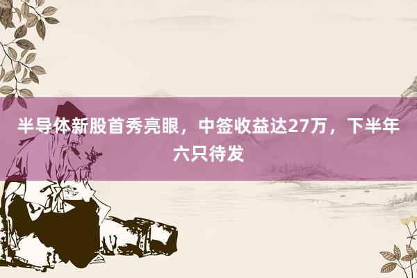 半导体新股首秀亮眼，中签收益达27万，下半年六只待发