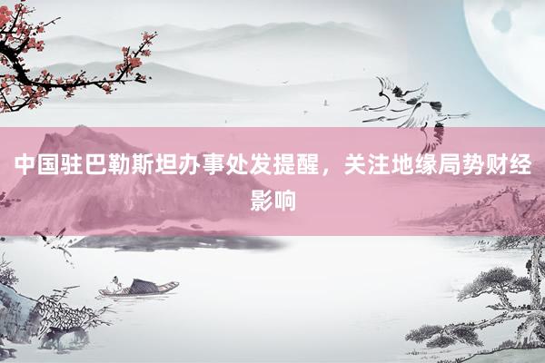 中国驻巴勒斯坦办事处发提醒，关注地缘局势财经影响
