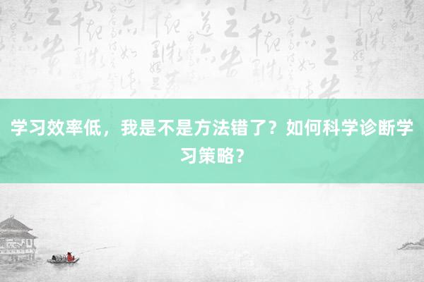 学习效率低，我是不是方法错了？如何科学诊断学习策略？